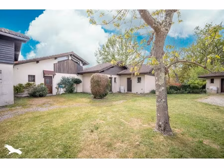 vente appartement 3 pièces 57 m² à vielle-saint-girons (40560)  189 792 €