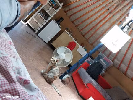 yourte meublée à l'année