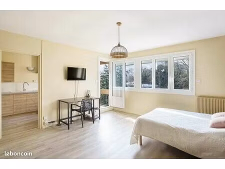 appartement meublé 35 m² - balcon - cave - parking option - mâcon