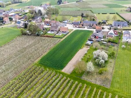 terrain à vendre à kapellen € 205.000 (ln99n) - it immo | zimmo