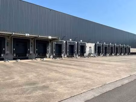 bâtiment logistique à louer à tongres