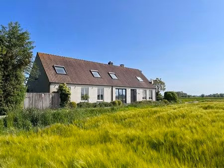 maison à vendre à lapscheure € 895.000 (ln8ia) - bonne vastgoed | zimmo