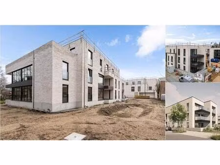 appartement à vendre à lichtveld 9 tessenderlo (rbv70509)