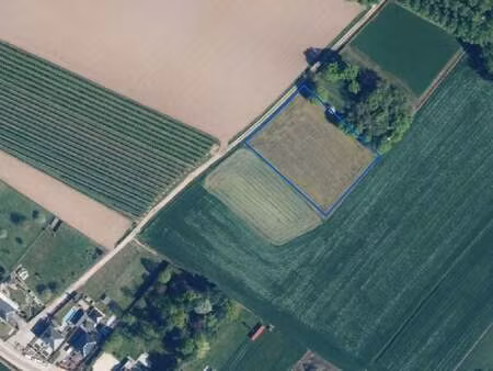 terrain à vendre à wellen € 25.000 (ln8u0) - jm vastgoed wellen | zimmo