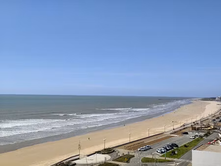 saint hilaire de riez -- les demoiselles