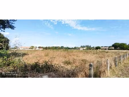 terrain viabilise libre de constructeur