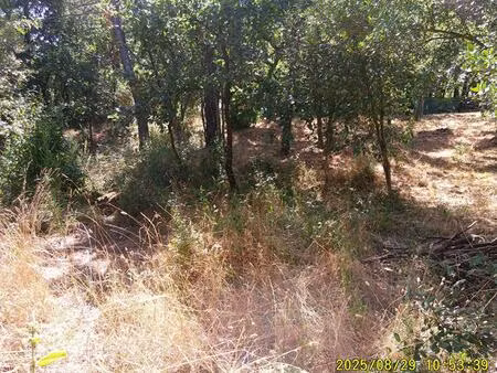 vente terrain 1200 m² les mayons (83340)