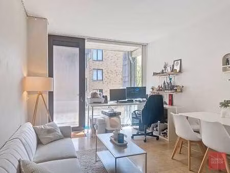 appartement 1 chambre avec terrasse à deux pas du lac