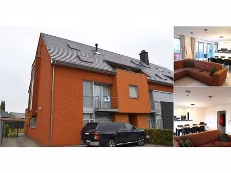appartement à louer à halveweg 12 zonhoven (rbv70941)