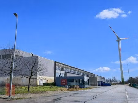bien professionnel à louer à beringen € 112.500 (ln9he) - panorama b2b limburg industrie |