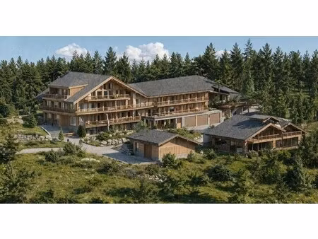 chalet de luxe à vendre à essert-romand