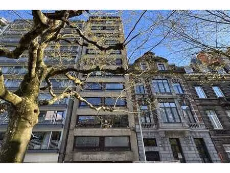 appartement 1 chambre - terrasse