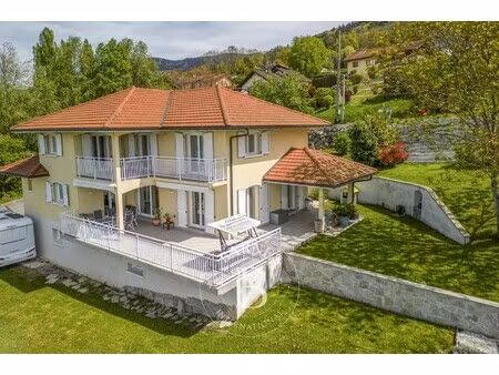 maison de luxe à vendre à cranves-sales