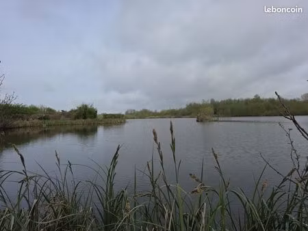 terrain 52404 m² condé-folie