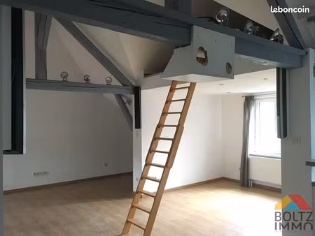 studio 1 pièce 37 m²