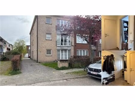 appartement à louer à kardinaal sterckxstraat 64 boechout (rbv71046)