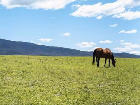 terrain agricole 2 hectares a louer