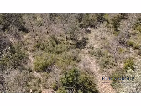 vente terrain 2516 m² à nans-les-pins (83860)  10 000 €