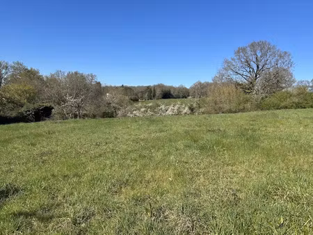 vente terrain 2920 m² à confolens (16500)  28 000 €