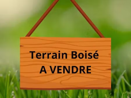 vente terrain 2770 m² à travecy (02800)  16 000 €