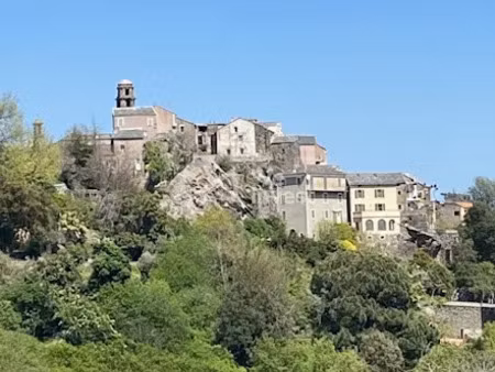 vente terrain à batir 3000 m² à penta-di-casinca (20213)  296 000 €