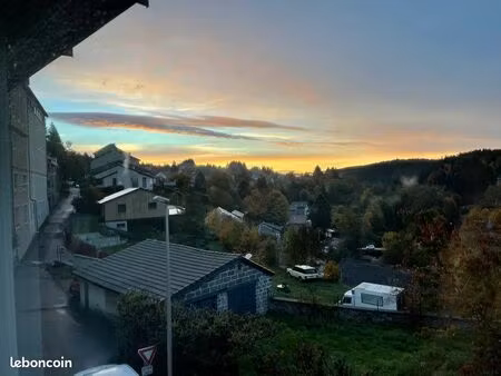 grande maison de ville de caractère sans vis à vis plein sud avec double garage et terrain