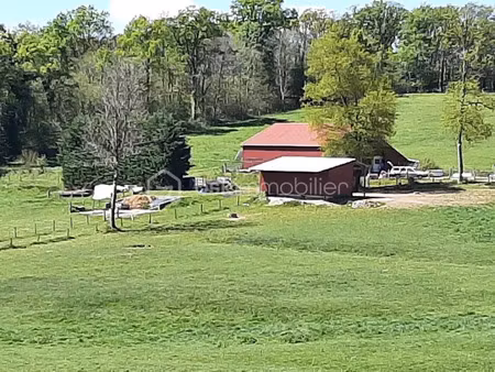 vente terrain 62720 m² à chaillac-sur-vienne (87200)  86 000 €