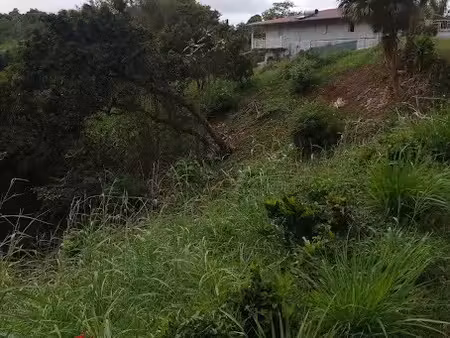 vente terrain à batir 1732 m² à saint esprit (97270)  155 000 €