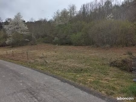 terrain constructible et boisé