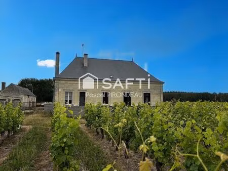 corps de ferme et vigne saint nicolas de bourgueil