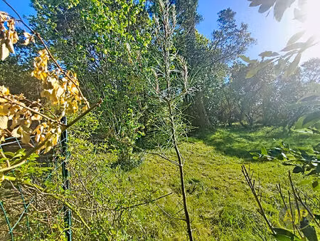 la teste de buch / cazaux (33470) - terrain constructible de 1000 m² .