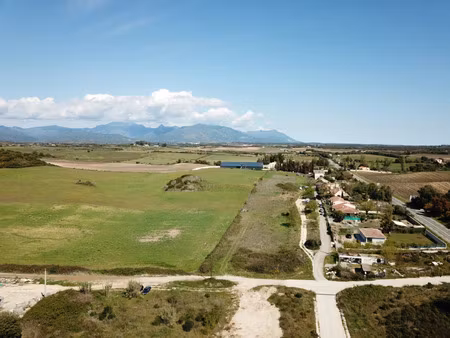 terrain à vendre aleria 1038m2 82 800€