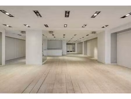 opportunité commerciale unique : propriété commerciale spaci