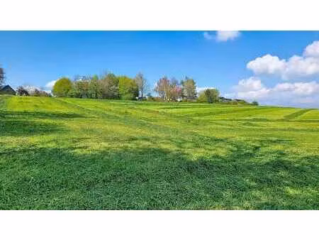 beau terrain