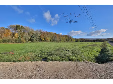 vente terrain 5500 m² coligny (01270)