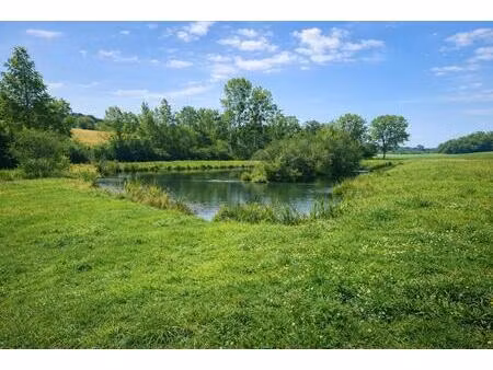 vente property.type.service 8080 m² muret-et-crouttes (02210)