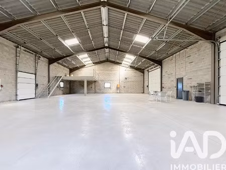 vente terrain 5935 m² caves (11510)