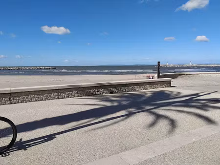 vente locaux professionnels 0 pièces 15 m² à le grau-du-roi (30240)  44 000 €