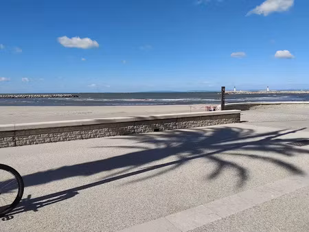 vente locaux professionnels 15 m² à le grau-du-roi (30240)  44 000 €