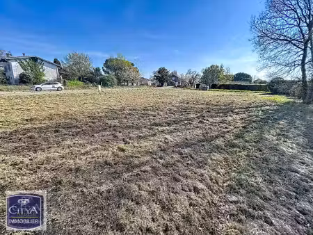 terrain à vendre - saint-nicolas-de-la-grave (82) - 49 000€