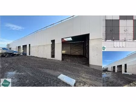 surface industrielle à louer à noorderstraat 25 lembeek (rbv71159)