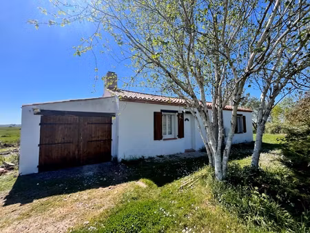 maison bois de cene 3 pièces 59.78 m2 - terrain de 2310m²