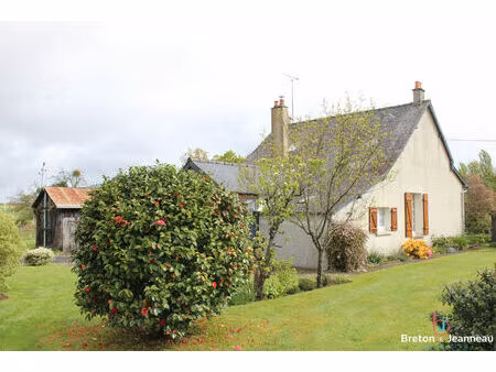 maison au 1 hectare à la pellerine