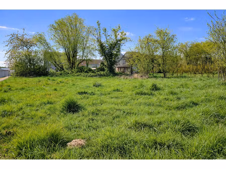 joli terrain bâtir en hameau
