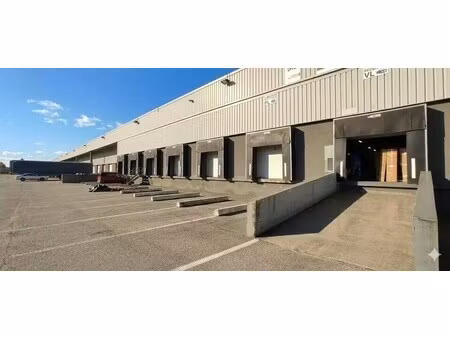 location entrepôt 2 560 m²