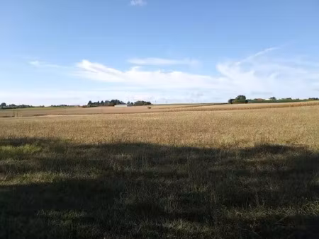 vente terrain 1079 m² mirambeau (17150)