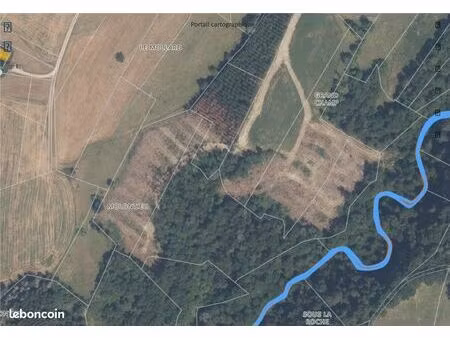 foret  bois  terrain