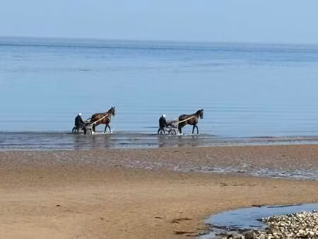 vente appartement 3 pièces à grandcamp-maisy (14450) : à vendre 3 pièces / 78m² grandcamp-