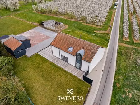 maison à vendre à muizen € 489.000 (lnai5) - swevers real estate | zimmo