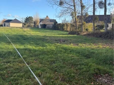 terrain constructible